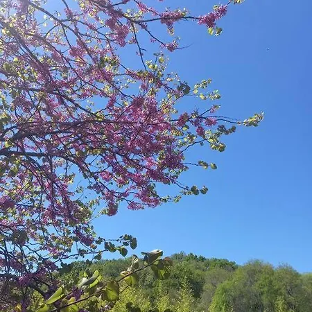 Willa Chateau Au Calme, Pleine Nature