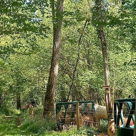 Chateau Au Calme, Pleine Nature Willa Tibiran-Jaunac